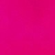 Rosa Fucsia