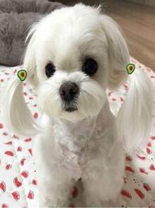 10 chiếc dây buộc tóc màu sắc ngẫu nhiên trang trí trái cây cho thú cưng - Nhiều màu - Xem 2