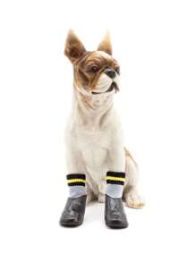 4pcs Striped Pattern Pet Socks For Dogs And Cats - Multicolor - View 1