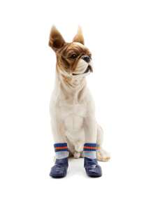 4 piezas Calcetines para mascotas con patrón de rayas para perros con gatos - Multicolor - Ver 1