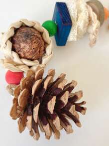 1 قطعة/2 قطعة/3 قطع لعبة عّض طير صغيرة متعددة الألوان - قطع الذرة، المخروط الصنوبري، كرة الصفصاف، مضغ ترفيهي لديكور قفص الطيور