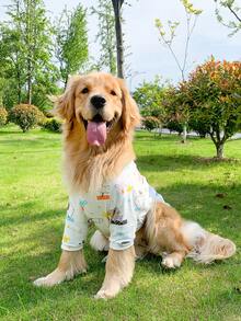 1pc Cartoon Graphic Pet Tee For Cat And Dog For Summer - Multicolor - View 9