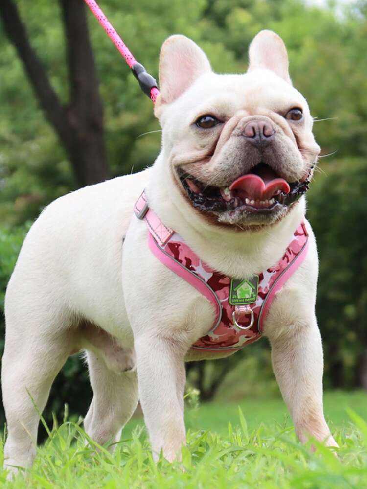 1pc Breathable Pet Harness For Dog For Outdoor - Pink - View 6