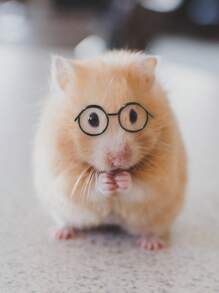 1pc Round Hollow Out Hamster Glasses For Small Animal For Decoration - Multicolor - View 1