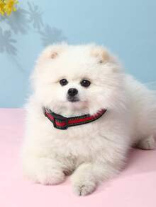 1pc Reflective Strip Pet Collar For Dog And Cat For Outdoor - Multicolor - View 5