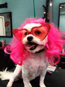 1pc Solid Color Pet Wig For Dog And Cat For Decoration - Hot Pink - View 3