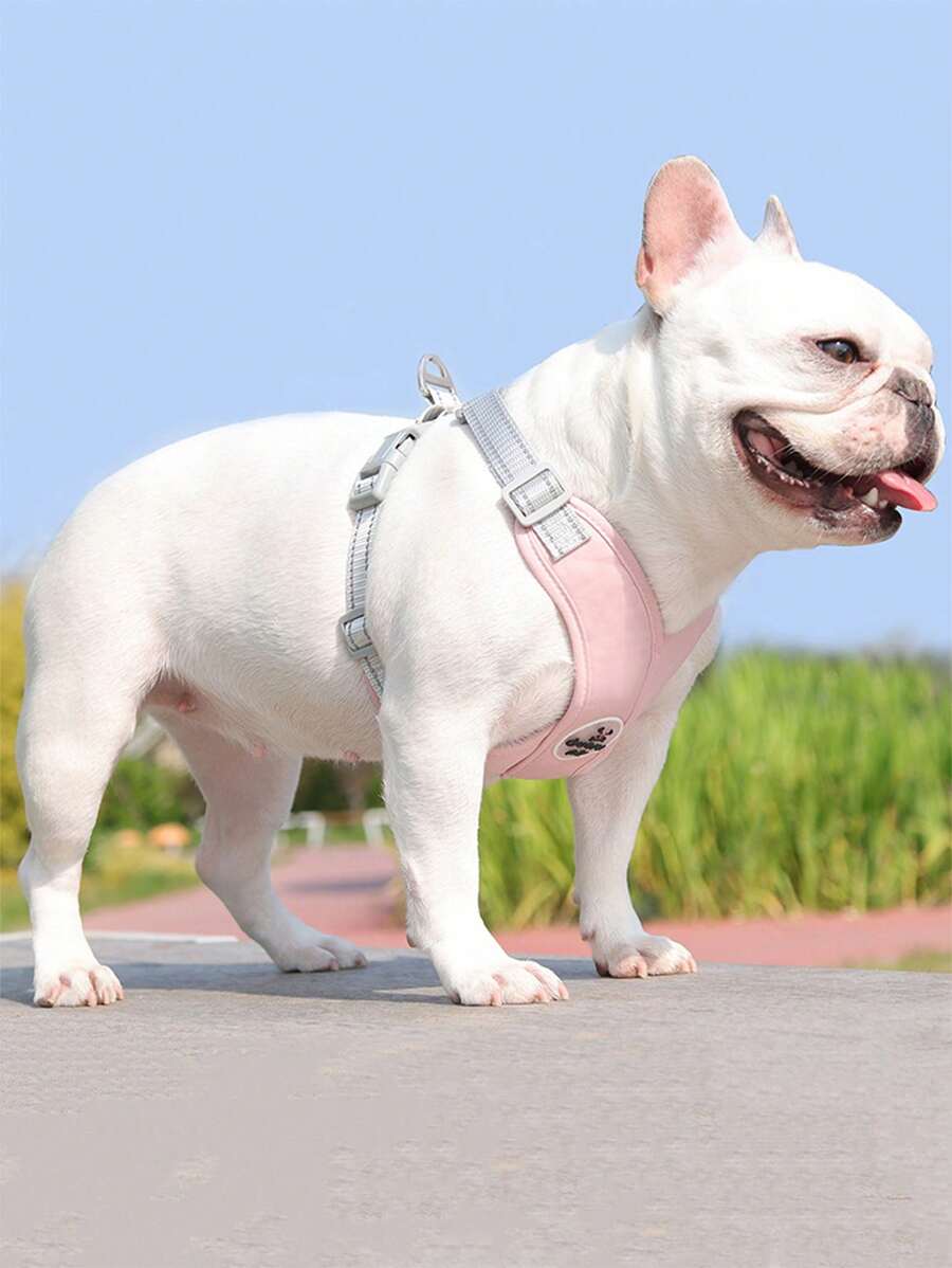 1 pieza Arnés para mascotas con parche de dibujos animados adorno con 1 pieza correa para perro con gato para exterior - Rosa - Ver 1