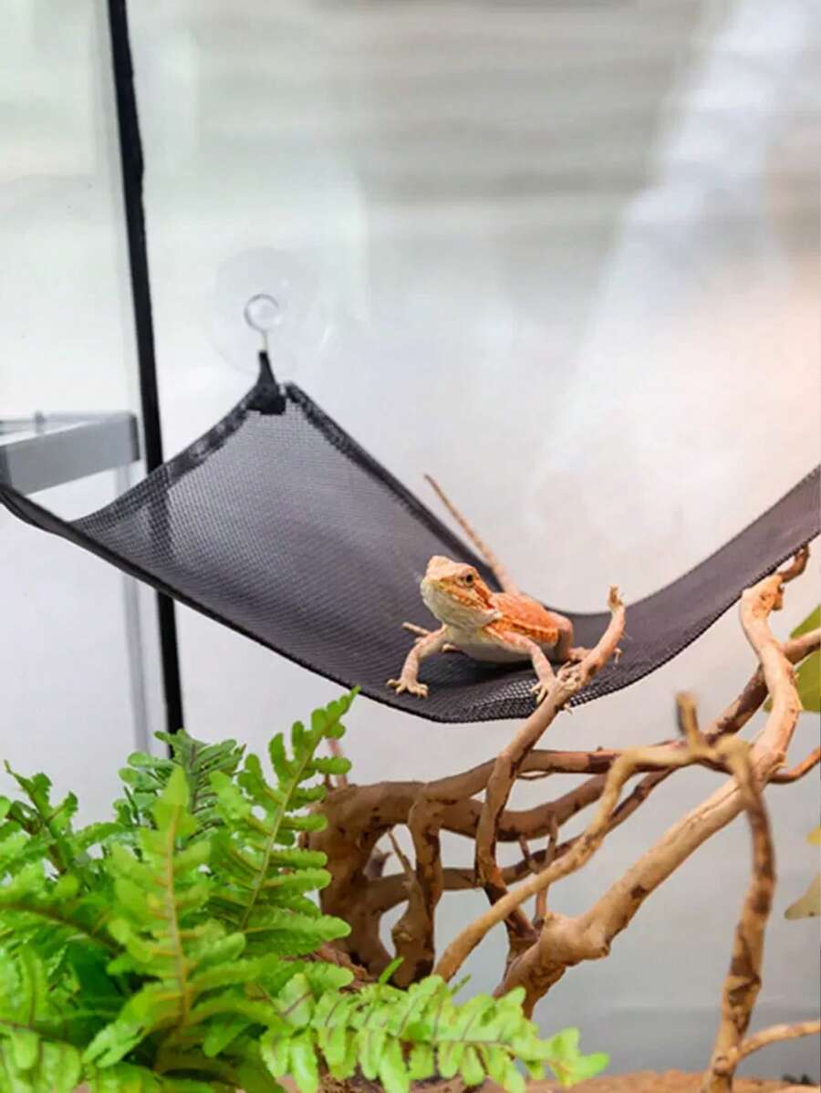2 piezas Hamaca ventosa lagartija para reptil para de dormir - Negro - Ver 1