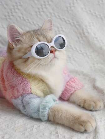 1入組ABS隨機色寵物太陽眼鏡