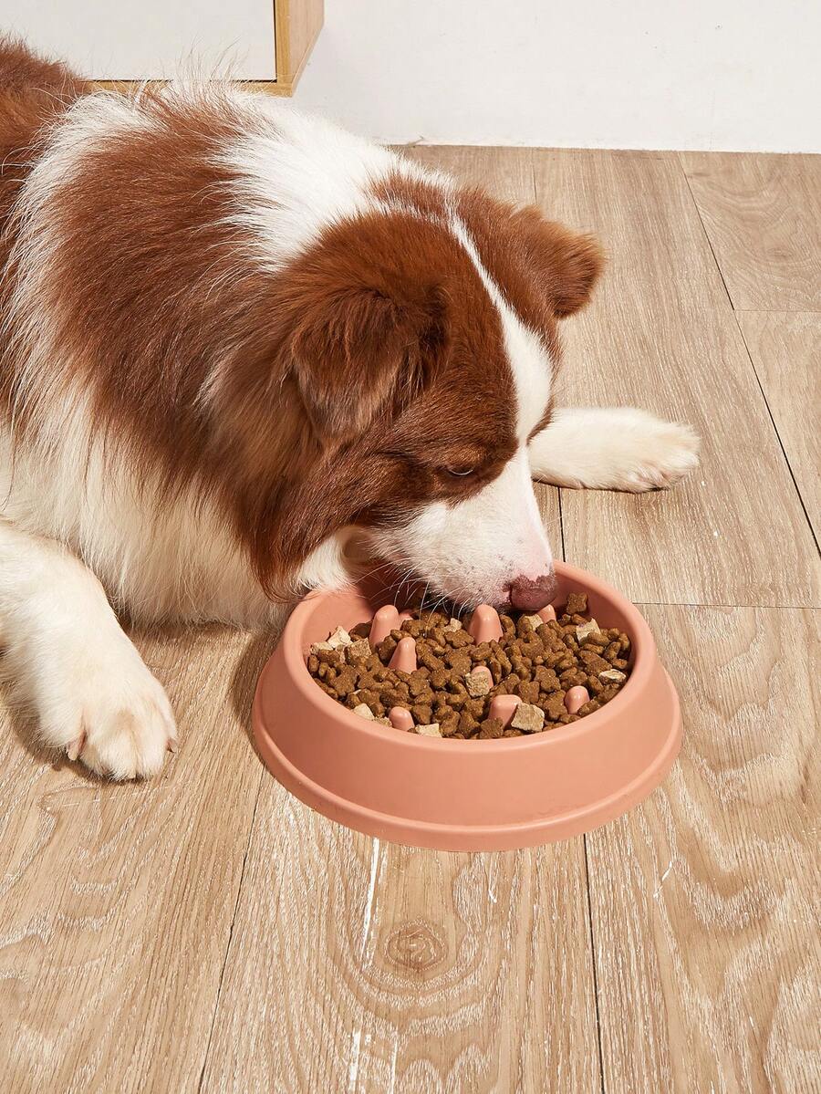 1pc Solid Color Pet Bowl - Multicolor - View 1