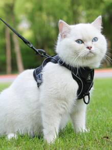 dây nịt thú cưng di động thoáng khí & 1 dây xích thú cưng cho chó và mèo ngoài trời - màu đen - Xem 4