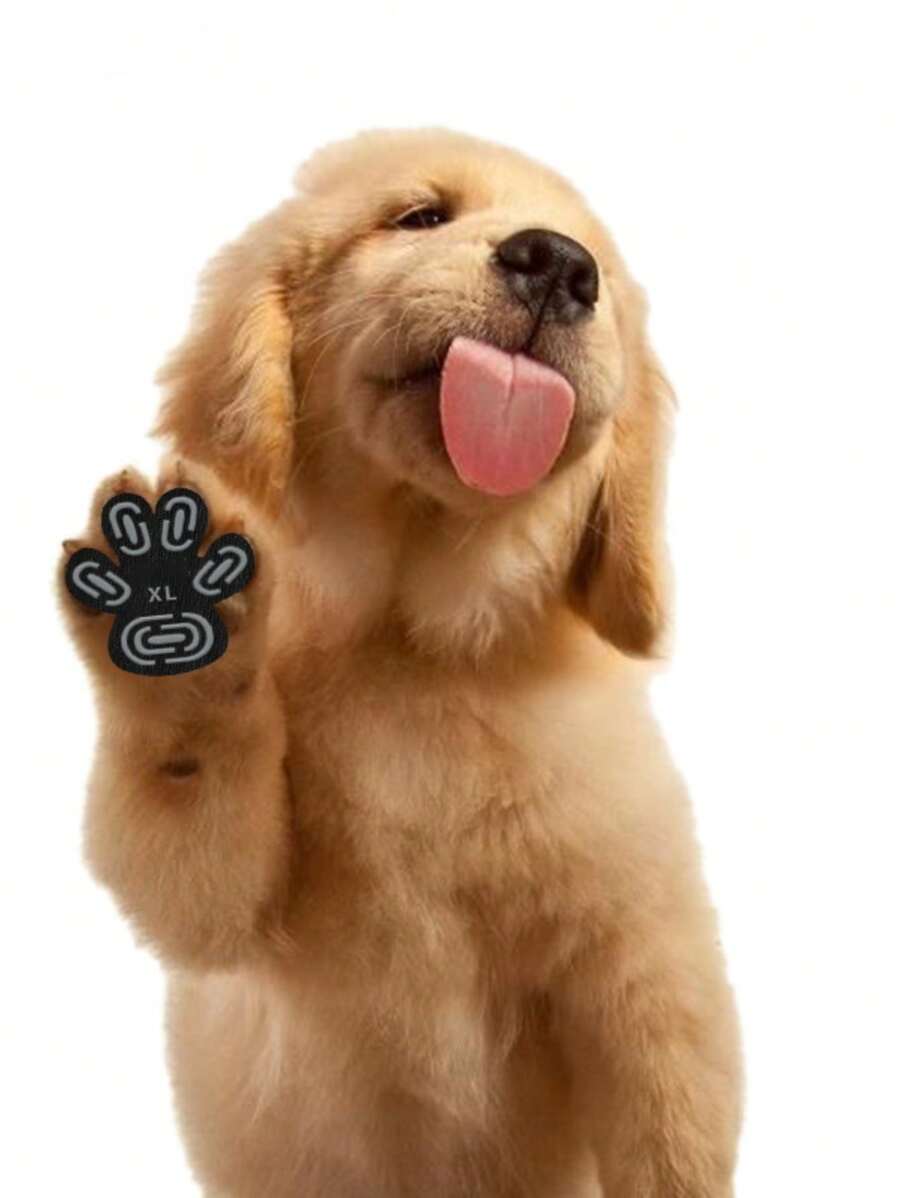 4pcs Pet Dog Shoes Insert Pad Anti-slip Anti-dust Heat-resistant New Large Dog Socks Stickers - Black - Black - View 1