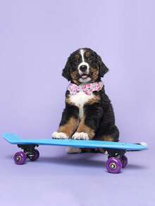 2 bộ vòng cổ & nơ in hoa cho thú cưng - Màu tím - Xem 5