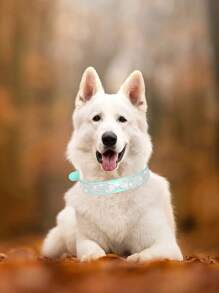 1pc Rhinestone & Bow Decor Pet Collar - Mint Blue - View 4