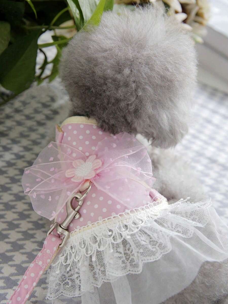 1入組蝴蝶結裝飾波點圖案合同蕾絲寵物背帶和1入組戶外狗和貓寵物牽引繩 - 彩色 - 查看 1