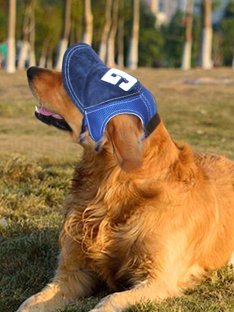 1入組字母圖案寵物帽子 - 彩色 - 查看 1