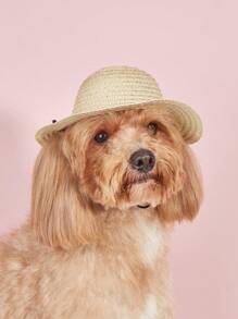 1頂手工編織寵物草帽 - 彩色 - 查看 1