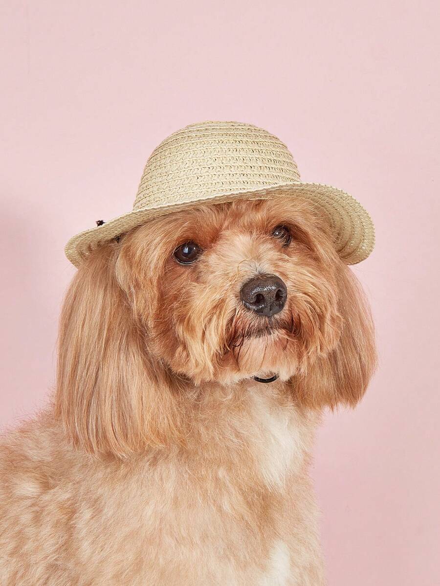 1頂手工編織寵物草帽 - 彩色 - 查看 1