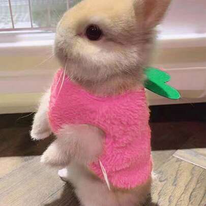 1 Áo nỉ ấm in hình thỏ và dâu tây dễ thương, chủ đề Giáng sinh, cho mùa thu/đông