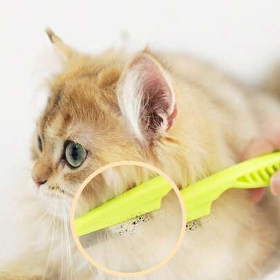 1入組不銹鋼寵物梳子適用於狗狗和貓適用於刷洗