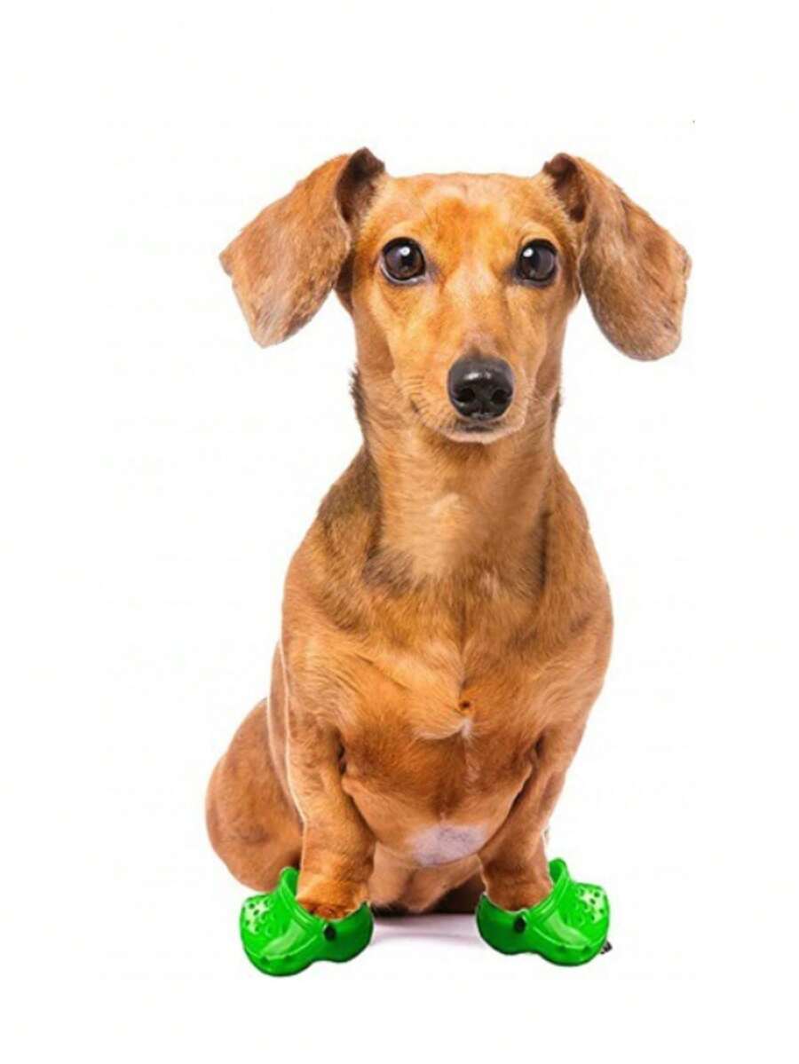 1對素色寵物鞋子