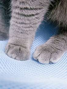 1入組撞色寵物吊床 - 橘色 - 查看 4