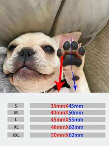 2 đôi giày thú cưng thoáng khí - Nhiều màu - Xem 6