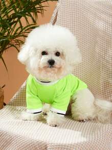 PETSIN Khẩu Hiệu Đồ Họa Thú Cưng Áo Cho Chó Và Mèo Cho Mùa Xuân Và Mùa Hè - Nhiều màu - Xem 6
