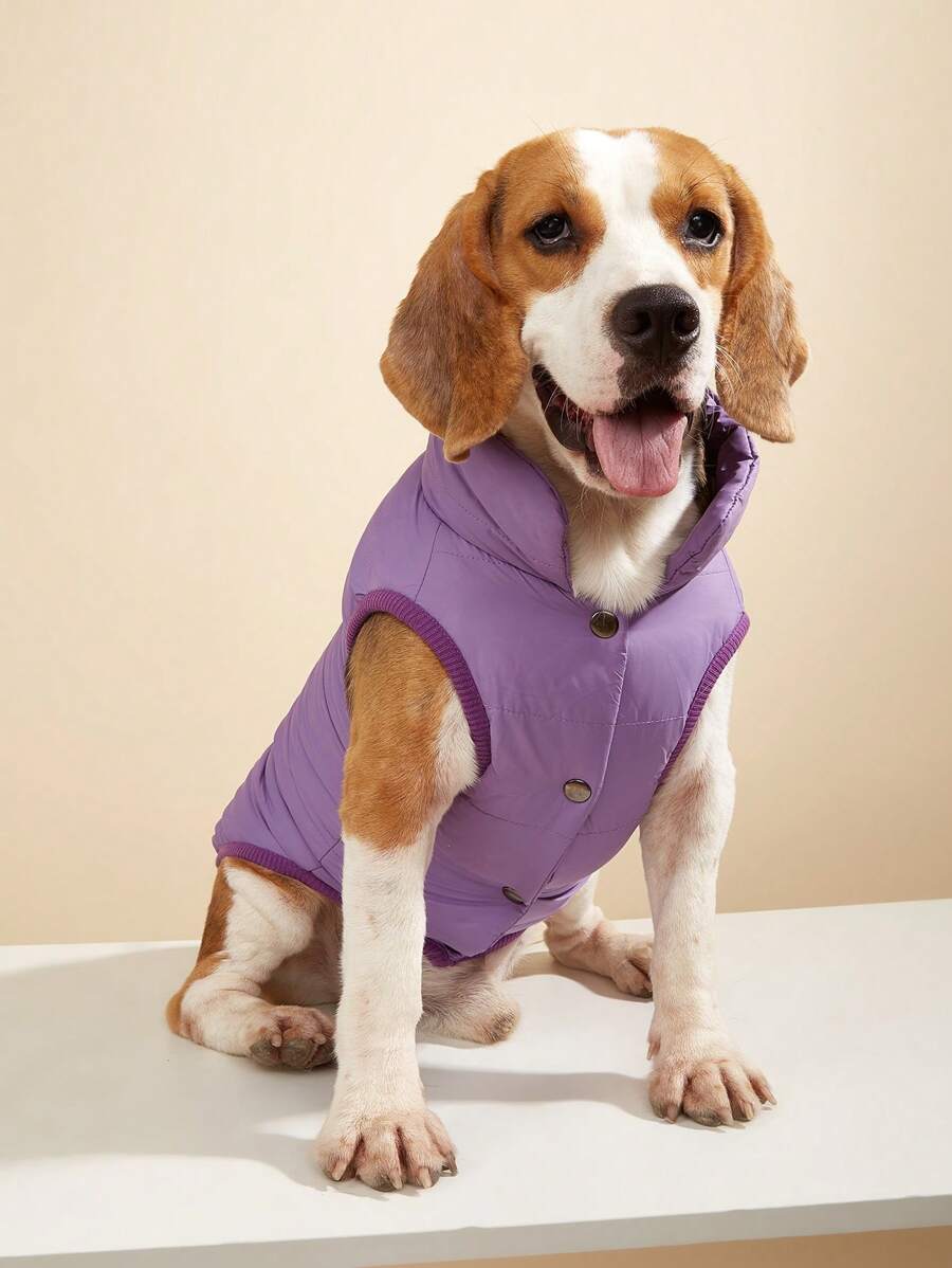 件簡單純色冬季保暖寵物夾克，防風外套適合金毛獵犬等大型犬，戶外 - 紫色 - 查看 1
