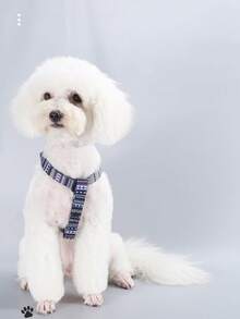 1pc Mô hình hình học Khai thác thú cưng cho chó ngoài trời - Màu xanh lam - Xem 2