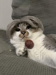 1pc Wig Design Pet Headwear - Silver - View 4