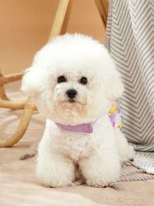 PETSIN 1入組花朵裝飾寵物背帶和1条皮带 - 彩色 - 查看 9