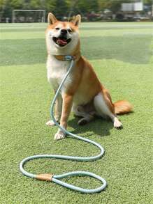 1pc Braided Rope Pet Leash, Baby Blue Durable Pet Leash For Household - Baby Blue - View 1