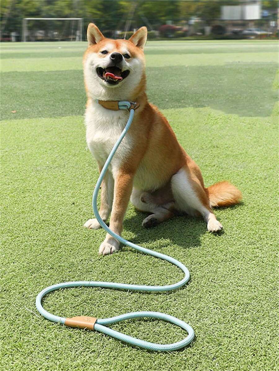 1pc Braided Rope Pet Leash, Baby Blue Durable Pet Leash For Household - Baby Blue - View 1