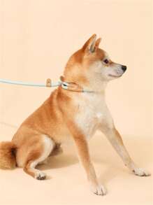 1pc Braided Rope Pet Leash, Baby Blue Durable Pet Leash For Household - Baby Blue - View 4