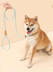 1pc Braided Rope Pet Leash, Baby Blue Durable Pet Leash For Household - Baby Blue - View 6