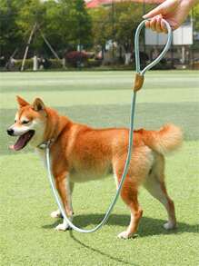 1pc Braided Rope Pet Leash, Baby Blue Durable Pet Leash For Household - Baby Blue - View 7