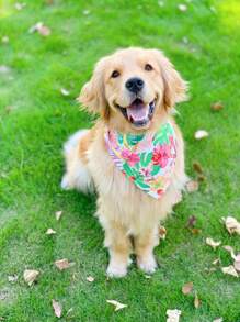 1pc Flower Print Pet Bandana - Blue and White - View 1
