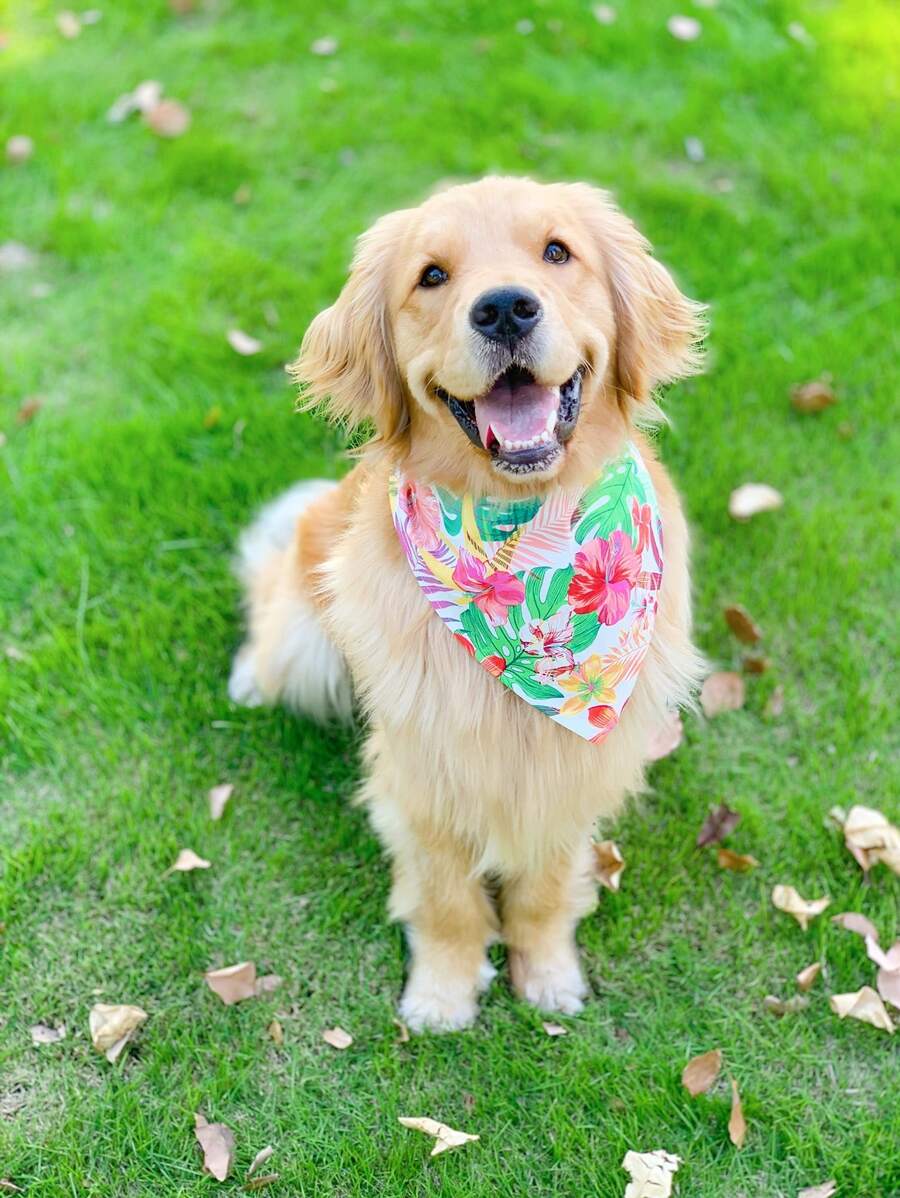 1pc Flower Print Pet Bandana - Blue and White - View 1