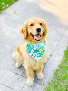 1pc Leaf Print Pet Bandana - Multicolor - View 1