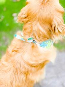 1pc Leaf Print Pet Bandana - Multicolor - View 4