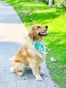 1pc Leaf Print Pet Bandana - Multicolor - View 6