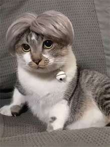 1pc Silver Wig With Bangs - Silver - View 1