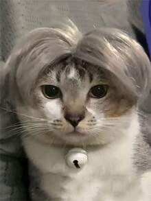 1pc Silver Wig With Bangs - Silver - View 5