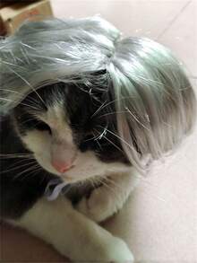 1pc Silver Wig With Bangs - Silver - View 7