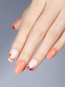 240pcs Short Fat Oval Shaped Full Cover Fake Nails,15 Sizes Frosted Acrylic Nail Tips, For Nail Salon Press On Nails Gel Nails Kit Nail Supplies - Clear - View 5