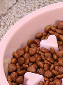 1pc Heart Detail Pet Slow Food Bowl For Cat For Eating - Pink - View 2