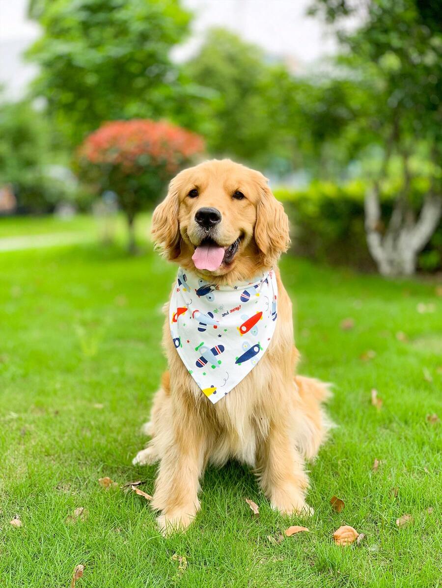 1pc Plane Pattern Pet Bandana For Dog And Cat For All Season - Multicolor - View 1