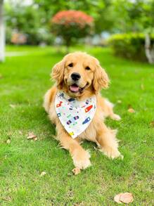 1pc Plane Pattern Pet Bandana For Dog And Cat For All Season - Multicolor - View 4