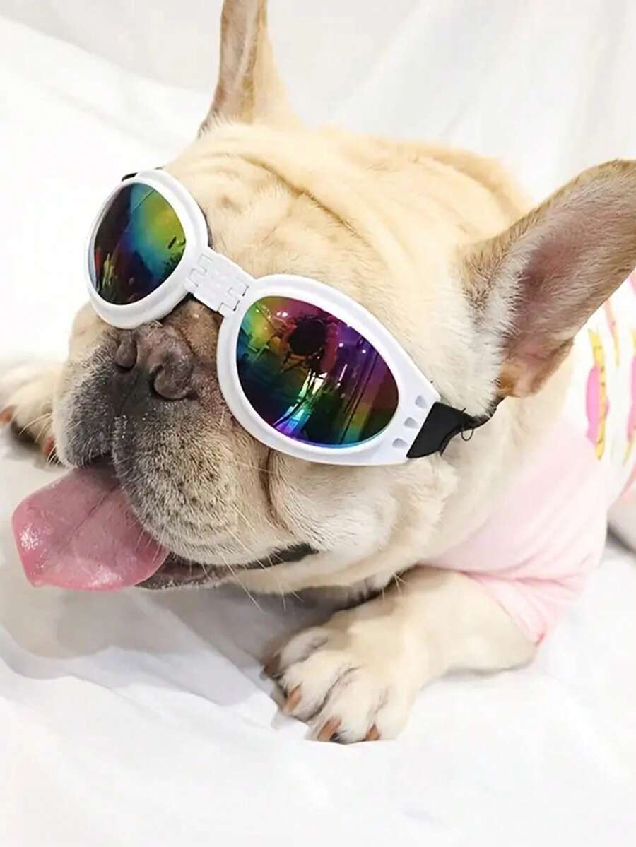 1pc Dog Windproof Glasses, Foldable Random Color Pet Sunglasses For Outdoor - Multicolor - View 1